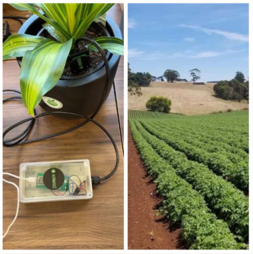🏝 Remote Sensing IoT Device for Agriculture in Australia 🌏
AGRIWEISS observed that Australian farmers in rural and remote areas face the challenge of tending plants and crops across vast swathes of land. 🏔

To achieve this goal, low-power remote monitoring soil sensors were…