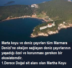 Burgazada Madam Martha Koyu’nun ihalesi yargı sürecine rağmen yapıldı(Birgün).
Peki ticari işletmeler kime verilecek? 
Geçmiş olsun Marmara Denizi..