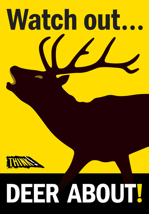 🤔 Did you know? Vehicle accidents involving deer are a major problem in the UK and Europe, especially at this time of year! ❗️ Check out these top safety tips and stay #DeerAware deeraware.com/safety-advice/ @transcotland #DriveSafe