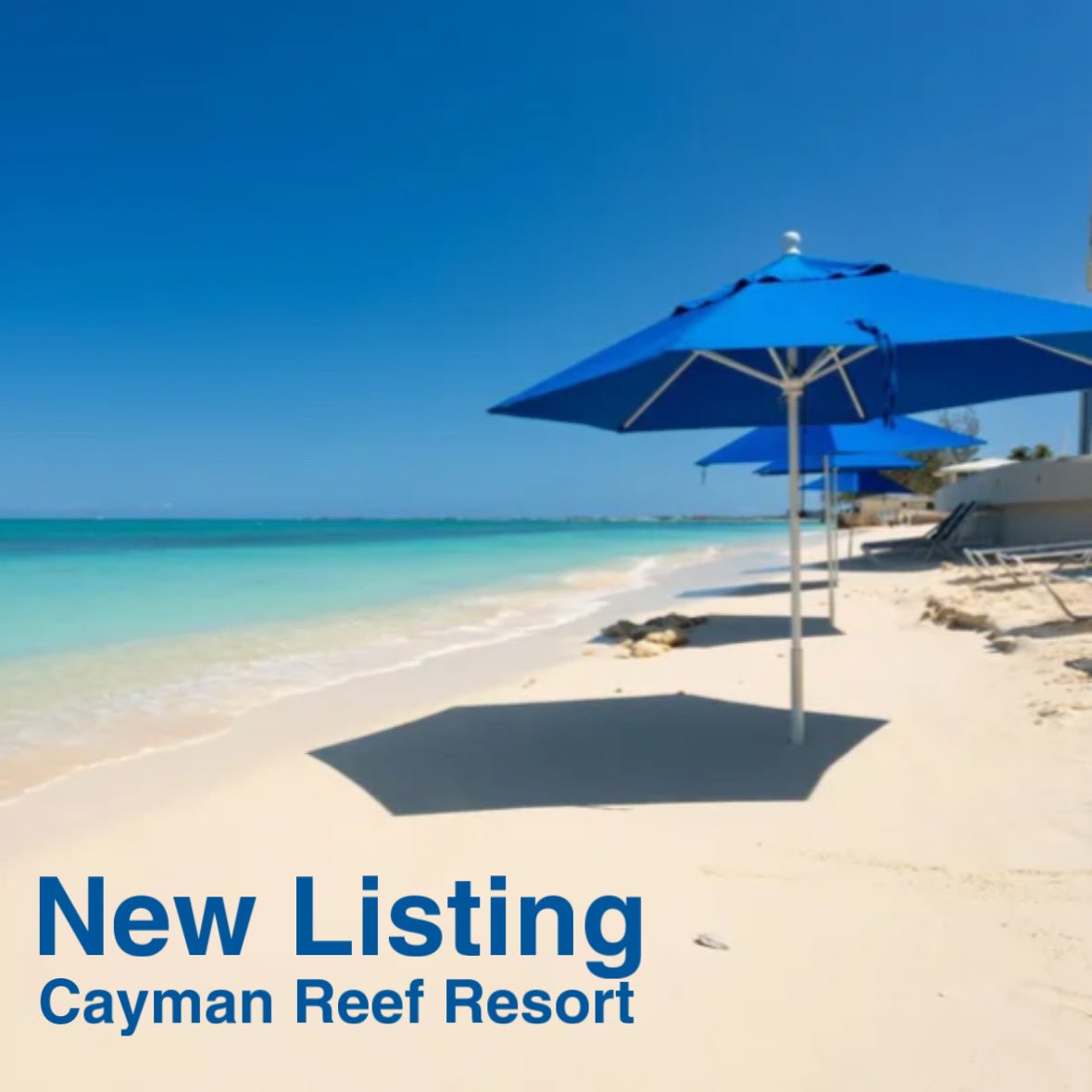 Cayman Reef Resort

Beyond the tranquility of the beach, is the convenience of walking to the shops & restaurants of Camana Bay

Member of CIREBA 
MLS # 417623

#NewListing #Caribbean #Condo #Scuba #Snorkel 
#CaymanRealEstate #caymansothebysrealty #caymanislandsrealestate