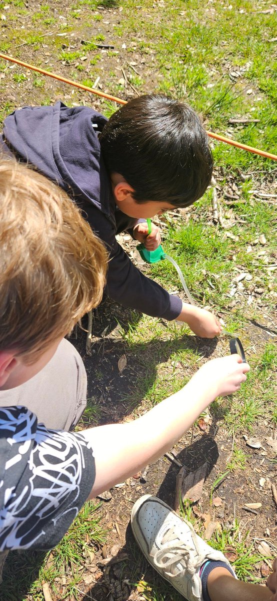 Y4@fircroft.family tweet media