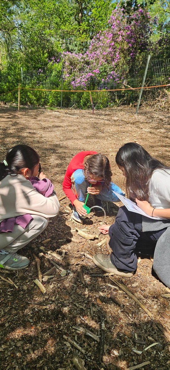 Y4@fircroft.family tweet media