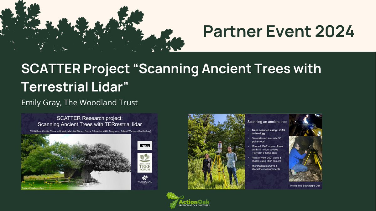 Emily Gray from the @WoodlandTrust presents, SCATTER Project 'Scanning Ancient Trees with Terrestrial Lidar'. 🌳🌳🌳 #PlantHealthScience #ActionOakPartnerEvent2024 #PlantHealthWeek