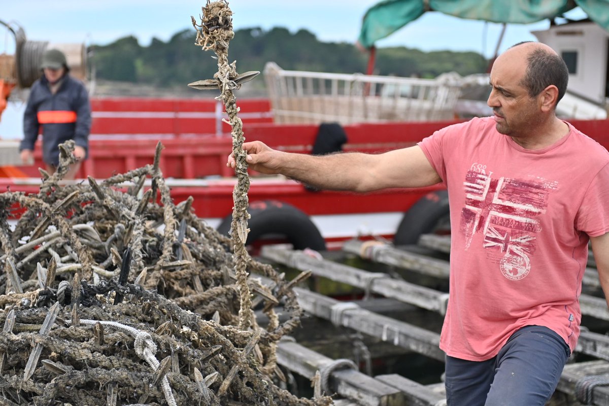 Mussel farmer Xindo has maintained a family platform of the shellfish for several generations in the rias (estuaries) of #Galicia @wanderlustmag @ThePCAgency