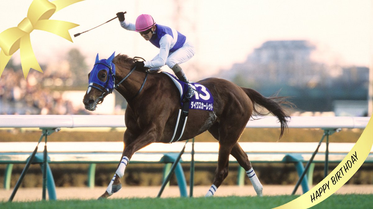 今日は、#ダイワスカーレット の誕生日🎂 有馬記念(GI)などGI 4勝の名