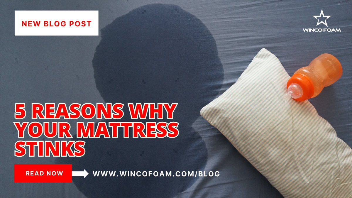 While mattresses are designed to offer us a cozy and rejuvenating sleep experience, they can also turn into a breeding ground for unwelcome odors. Read why: wincofoam.com/5-reasons-why-… 

#wincofoam #sleeptips #mattresstips