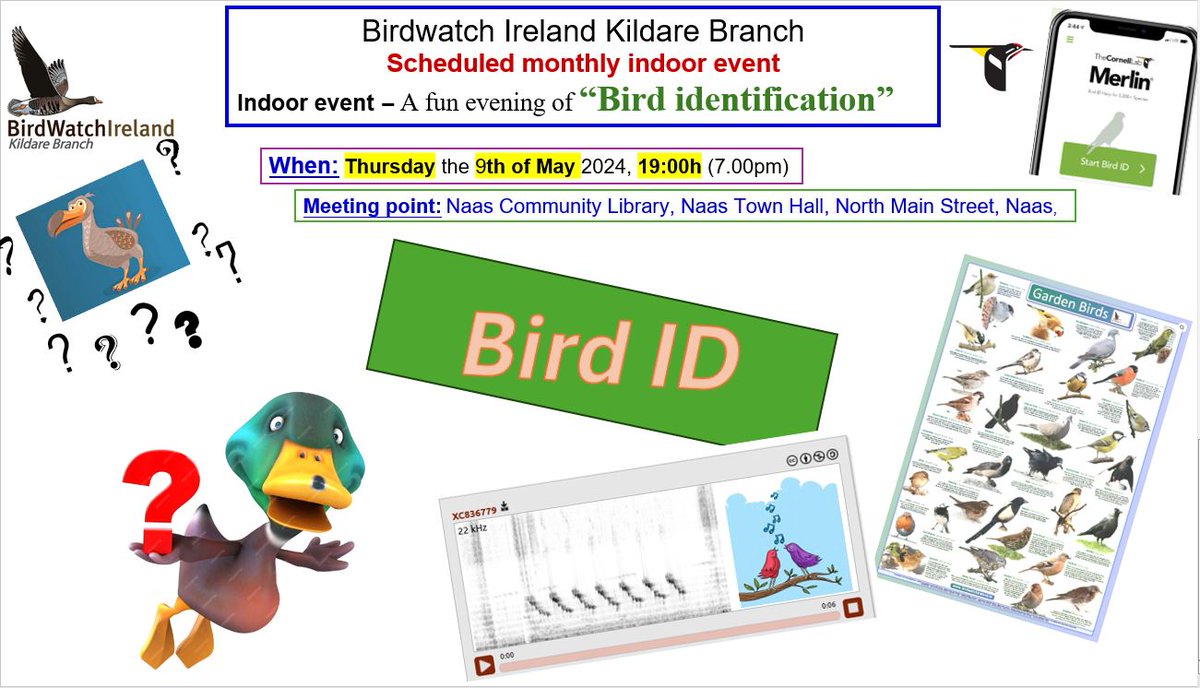Bird Identification event #Naas #Kildare tonight May 9. ⬇️