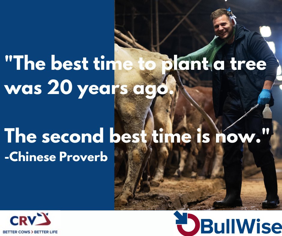 There is still time to get the right genetics for your herd!

✅ Milk Solids
✅ Fertility
✅ Efficient Production
✅ Daughter Proven
✅ High Health
✅ Outcross Genetics
✅ Lots more: bullwise.ie

#TeamDairy #Grasstomilk #BullWiseAI #CRV4ALL