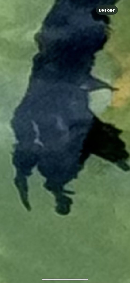 FRiiKKE (@friiikke) on Twitter photo 