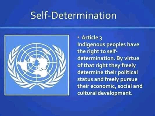 Indigenous leader #NnamdiKanu is now 3 years in UNLAWFUL detention.

He was a voice AGAINST the genocide of #indigenous populations in Nigeria.

#Kanu's continued detention is a loss for global indigenous rights. The @UN must act.
CC: #UNPFII @UNWatch @KarimKhanQC #SomosIndigenas