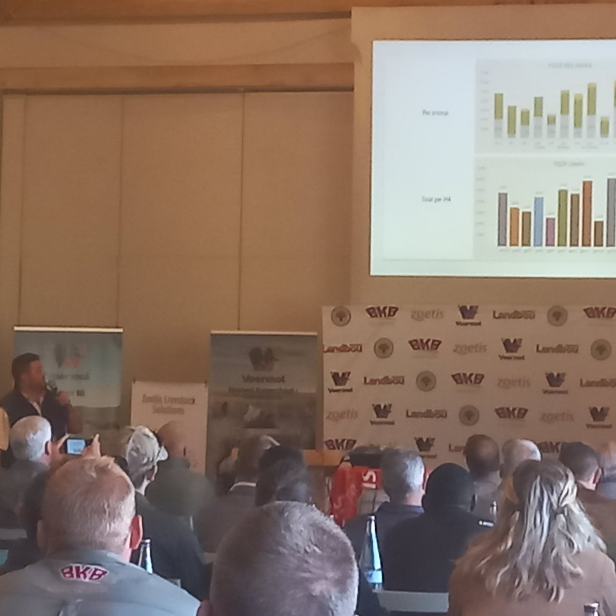 Listening to Eastern Cape homeboy Jason Carol, 2023's cattle farmer of the year, speak about how they're regenerating the soils of Boschendal in Franschhoek with Angus cattle, chicken, sheep and pigs. well done to Voermol, @Zoetis @FNBSA @BKBLtd @landbou for another great day!