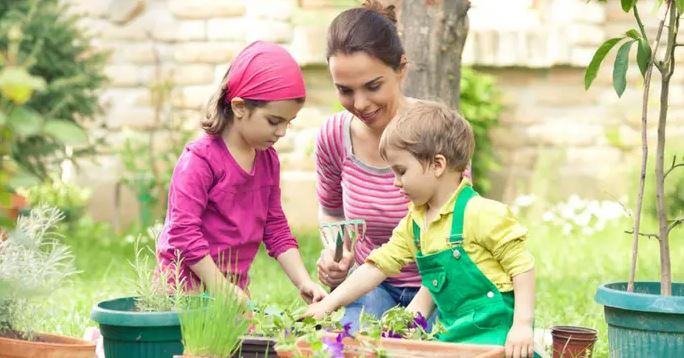 Cardiff Council tweet media