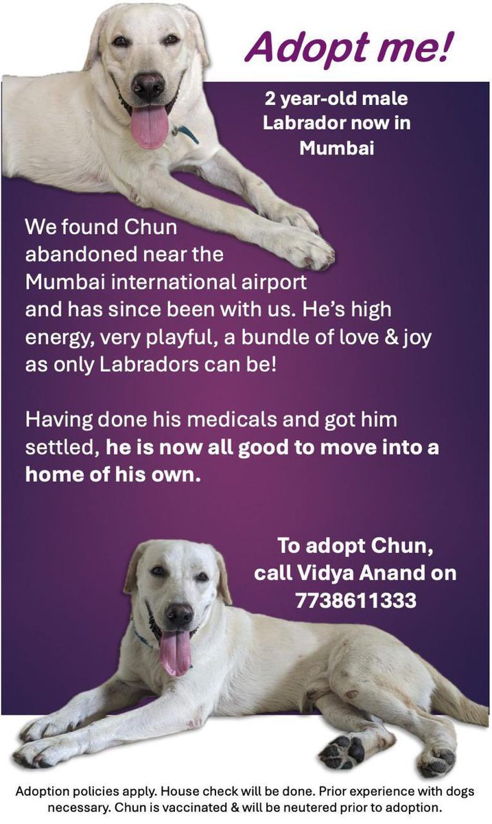 #Mumbai #AdoptDontShop 🐶 dogwithblog.in/animal-helplin… RT!