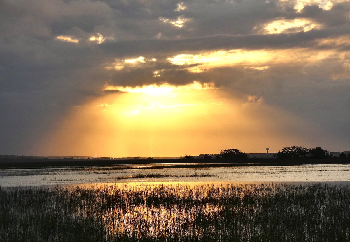 Good morning! ⛈️ #SunsetBeach @EdPiotrowski @medwick @ChrissyKohler @WXIIJackie @Em_I_Am @jamiearnoldWMBF @LeeHaywoodWX @dogwoodblooms @marioncaldwx @JustinMcKeeWx @StarboardRail @ThePhotoHour @StormHour @Christina4casts @CMorganWX @AndrewWMBF @ScottyPowellWX @EllaTanseyWECT