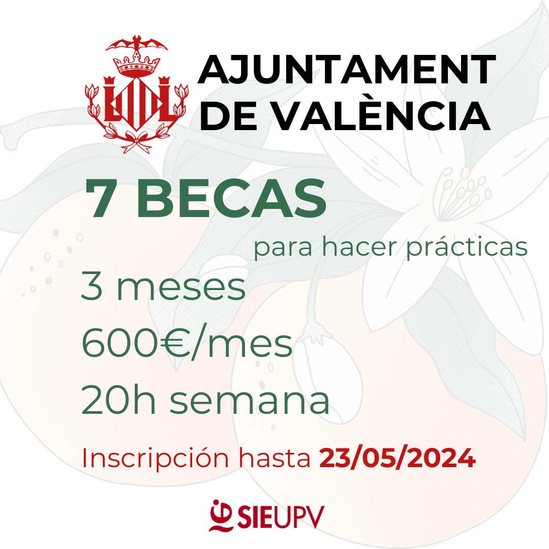 Tenemos 7 becas del Ajuntament de València para realizar prácticas en diferentes empresas e instituciones para estudiantado UPV🎓💼 Toda la info en el enlace🔗 upv.es/contenidos/SIE… podéis solicitarla hasta el 23 de mayo🗓️😊