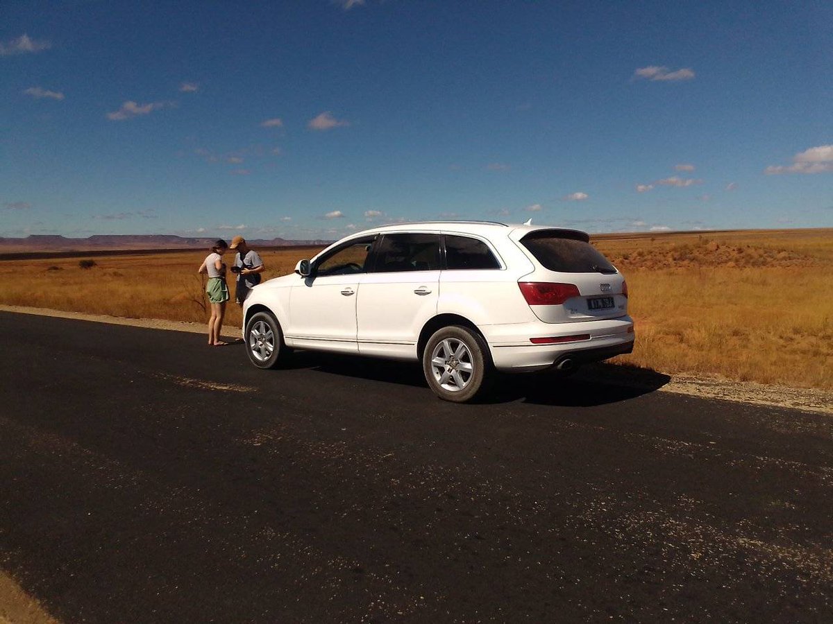SobehaTour's tweet photo. Travel and discover Madagascar with us!
We will take you wherever you want no matter your budget. You can choose between several pricing packages and category of tours ... https://t.co/G97hKb1pLN

#madagascar #sobeha #travel2024 #holidays #photograghy https://t.co/G3ypYErCPw