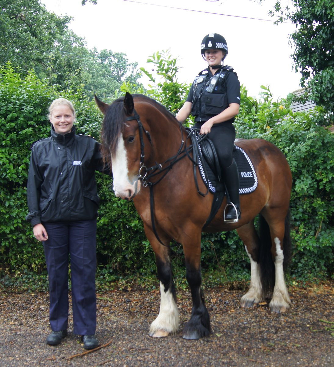 Redwings would like to express their deepest condolences on the very sad passing of @NationalEWC Director and @RSPCA_official Inspector Kirsty Withnall. redwings.org.uk/news-and-featu…