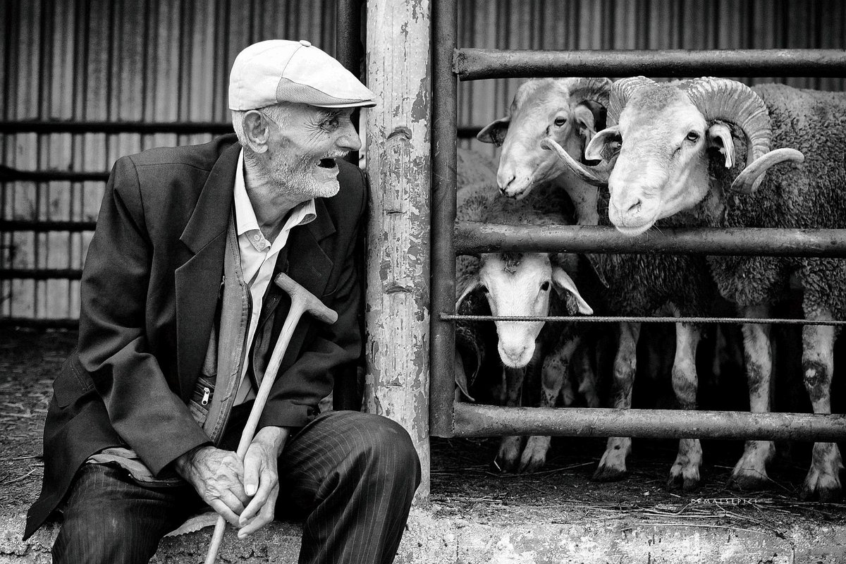 Sözlerle işim yok..
İçimden konuşuyorum, içi olan işitiyor
#bw #blackandwhitephotography #blackandwhite #monochrome #portraitphotography #portrait #life #cmlspc #cemalsepici #anatolia #photography #PHOTOS #artphoto #documentaryphotography #biga