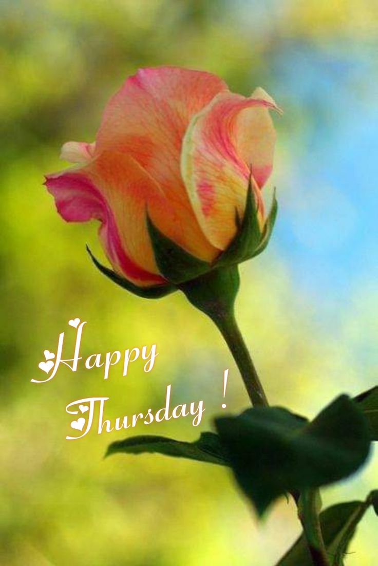 Happy Thursday! May your day be filled with sunshine and smiles
🙏🌈💙🌈🙏
#tiktok #like #love #foryou #bluecrew #manifest #abundance #goodfortune #lifeofarealtor #realestate #portland #oregon #Buyahome #sellahome #garyandscott
