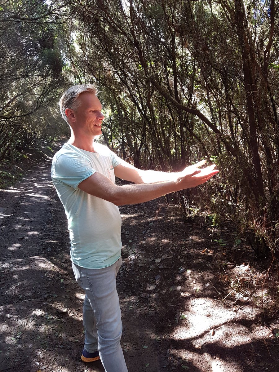 RalphDost's tweet image. Disconnected to reconnect. Breathe in the fresh air and let the stress melt away. Nature has a way of calming the mind and sparking creativity. Get outside and experience the magic for yourself! 

#naturetherapy #unplugandplay