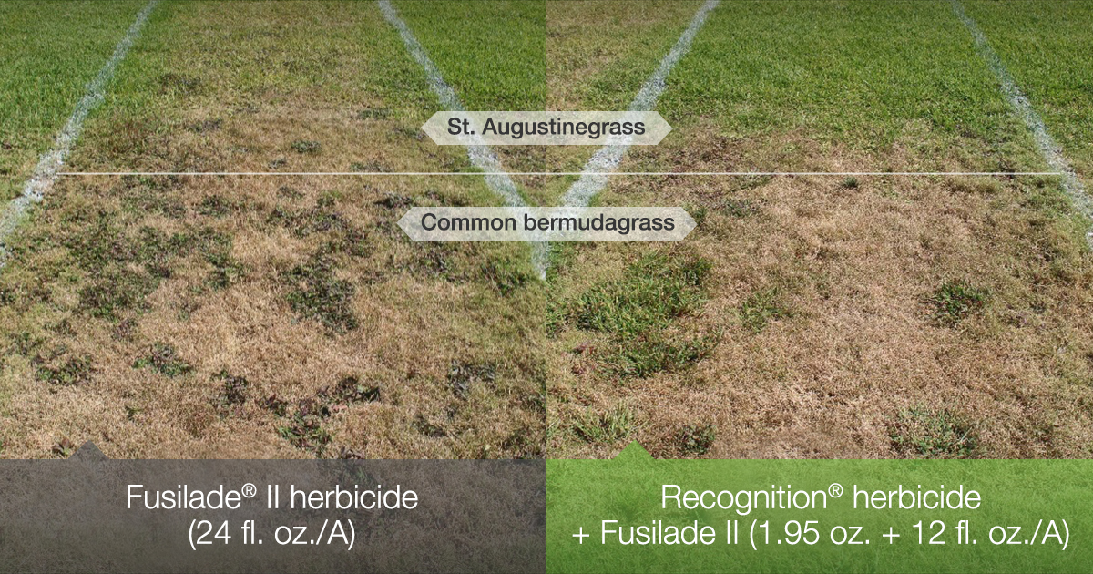 🕵️ Problem solved!

The inability to control bermudagrass infestations in zoysiagrass turf has been a challenge – until now. 

Lane Tredway, Ph.D. explains how #Recognition herbicide makes it possible. 

Find out more: bit.ly/3wo8cDB