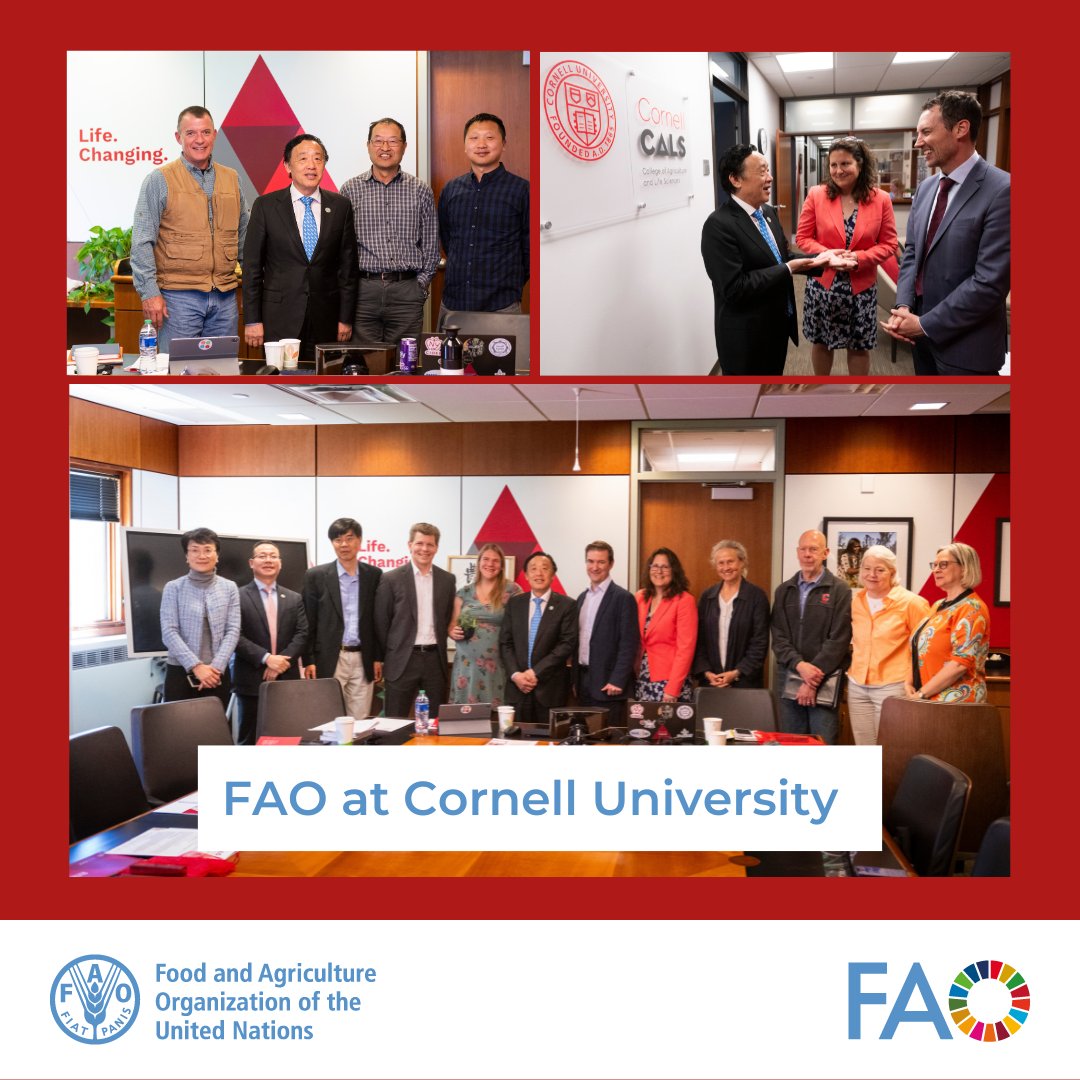 During @FAODG's visit to @Cornell, he met with @BenHoulton and other faculty members from @CornellCALS, the School of Integrative Plant Science, and @CornellGlobal, where he learnt about their research programs and work to help transform agrifood systems and protect #PlantHealth.