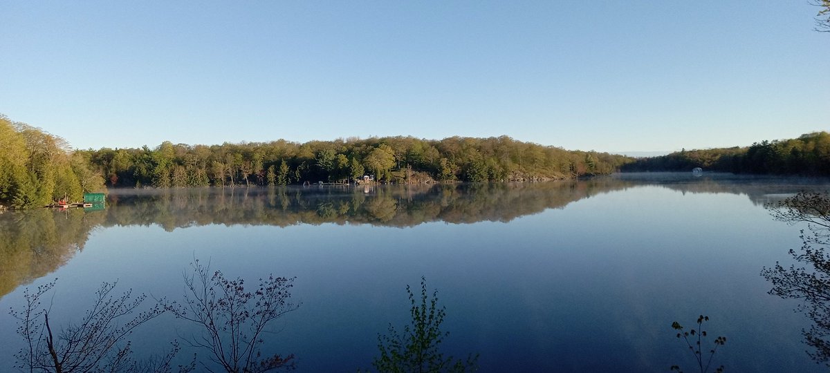 Cathy Goodfellow tweet media