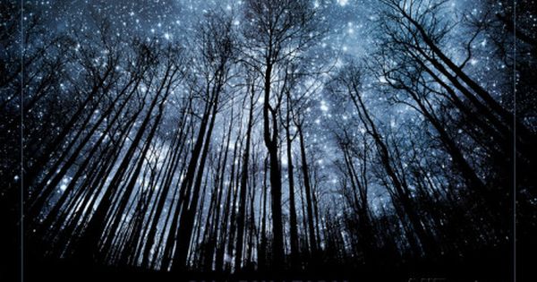 I gaze at
The stars
On a clear night,
Admiring their
Twinkle and faraway light
So many #ideas & dreams
Conjured by humanity
Trying to comprehend
The universe's complexity.
Without this brilliant,
Star-spangled canopy
Would humankind
Ever have delved
Into fantasy?
#vss365