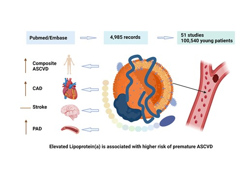 Elevated Lp(a) predicts the risk of premature atherosclerotic cardiovascular disease. #ASCVD
academic.oup.com/edrv/advance-a…
