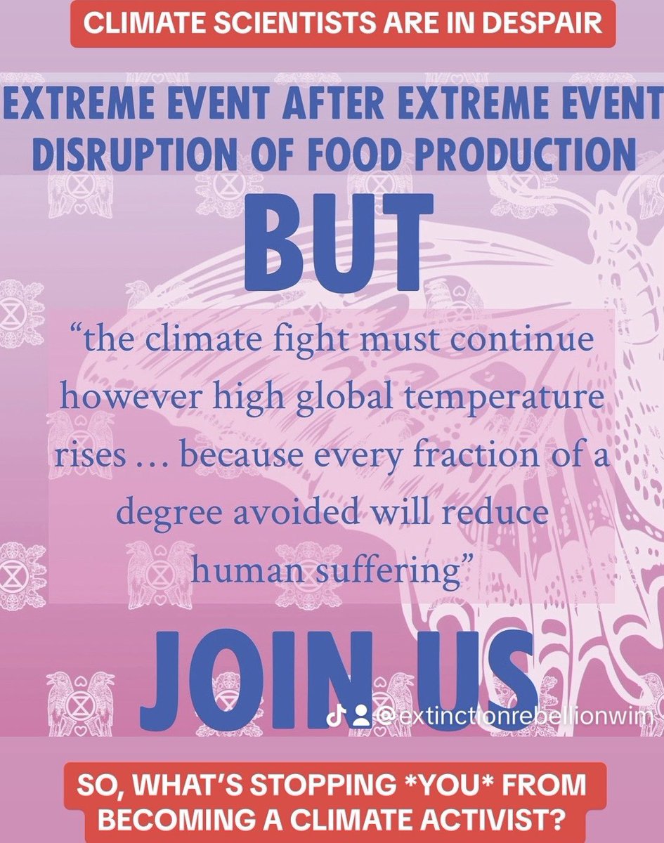 Not convinced we all have a responsibility to stand up for the future? Read this theguardian.com/environment/ar… Time for collective action. Join us xrwimborne@gmail.com