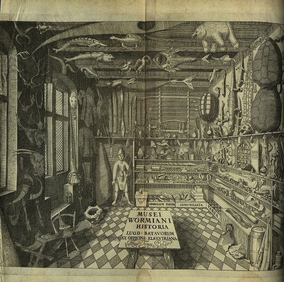 Collector Ole Worm or Olaus Wormius, was born #OnThisDay in 1588. He assembled a cabinet of curiosities - an early museum. This illustration is from his book about his cabinet, published 1655, it forms part of our #specialcollections. #OTD