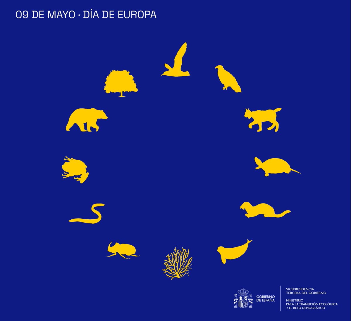 Proteger la biodiversidad, lo tenemos por bandera Biodiversity protection is our flag #DíadeEuropa #EuropeDay 🇪🇺