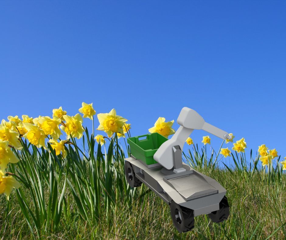 British Bots Bloom! Robots to Pick Daffodils as Labour Shortages Bite: buff.ly/3UQPyxm
