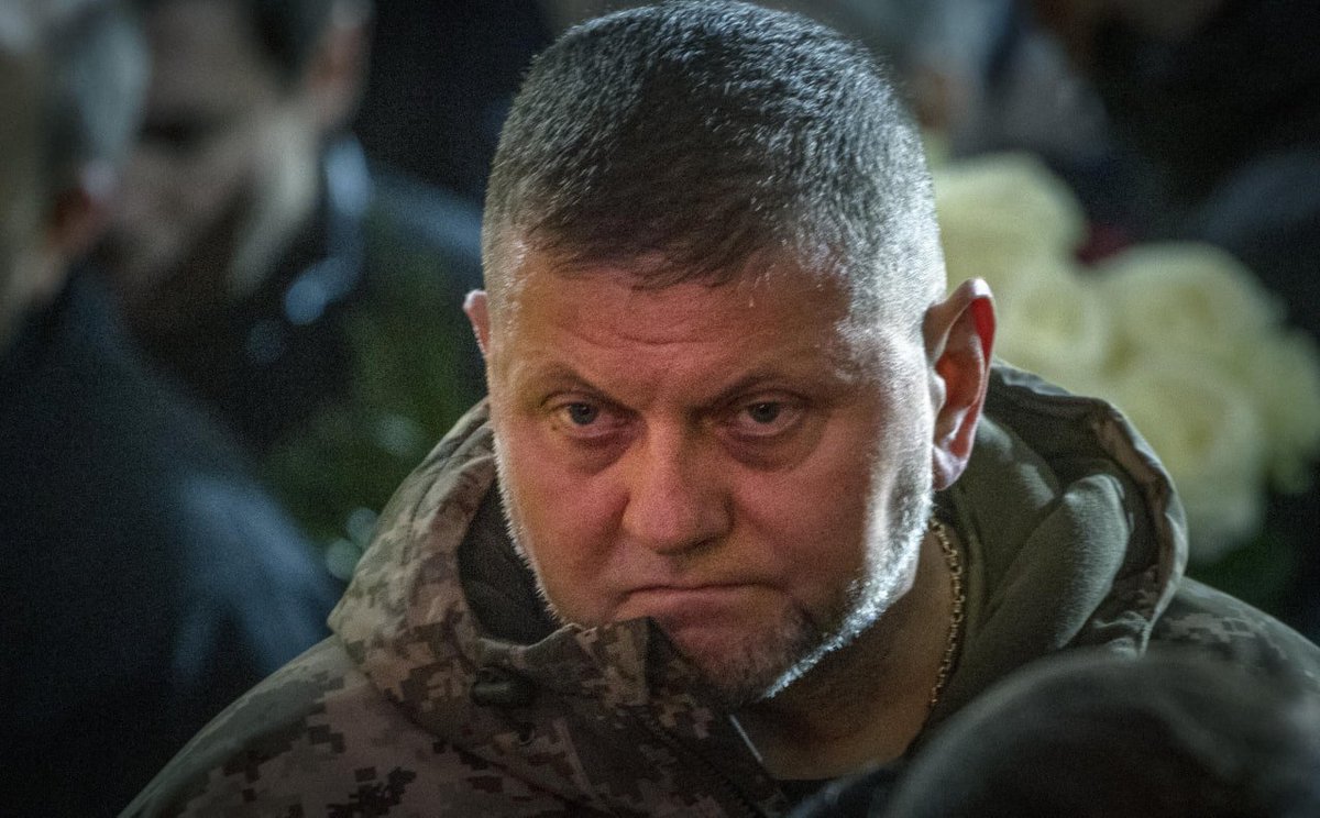 Volodymyr Zelensky has officially dismissed former Commander-in-Chief of the Ukrainian Armed Forces General Valery Zaluzhny from military service due to health reasons.