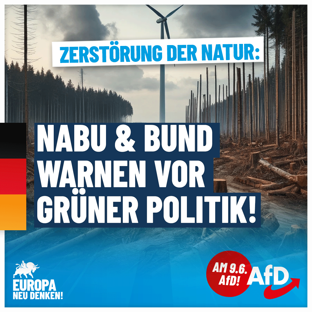 Jetzt warnen sogar #NABU und #BUND vor grüner Zerstörung: Die durch #Windkraft angerichteten Schäden sind immens. Wer sein Land liebt, zerstört es nicht! #DeshalbAfD #AfD