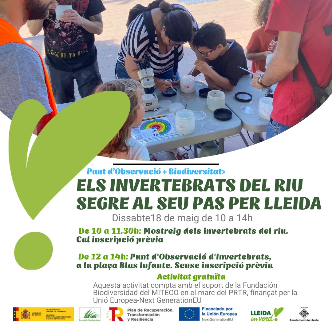 😍El riu Segre, al seu pas per #Lleida, acull éssers vius, molts petits i imperceptibles. En l'activitat observarem i identificarem els macroinvertebrats del riu i la biodiversitat que no veiem habitualment 📲Inscriu -te➡️acortar.link/CBi01P #ProyectosPRTR #NextGenerationEU