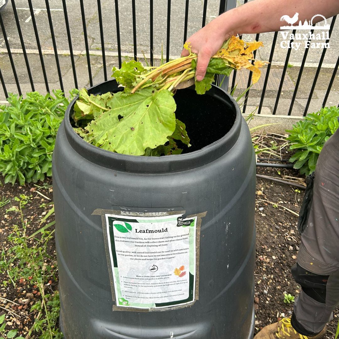 🌿 We had a fantastic time celebrating Good to Grow Week at Vauxhall City Farm! Huge thanks to our Gardening Club members and volunteers!🌿

#GoodToGrow2024 #GoodToGrowWeek #CommunityGarden #VauxhallCityFarm #Vauxhall #London #Volunteers #TeamWork #GardeningClub #Gardener