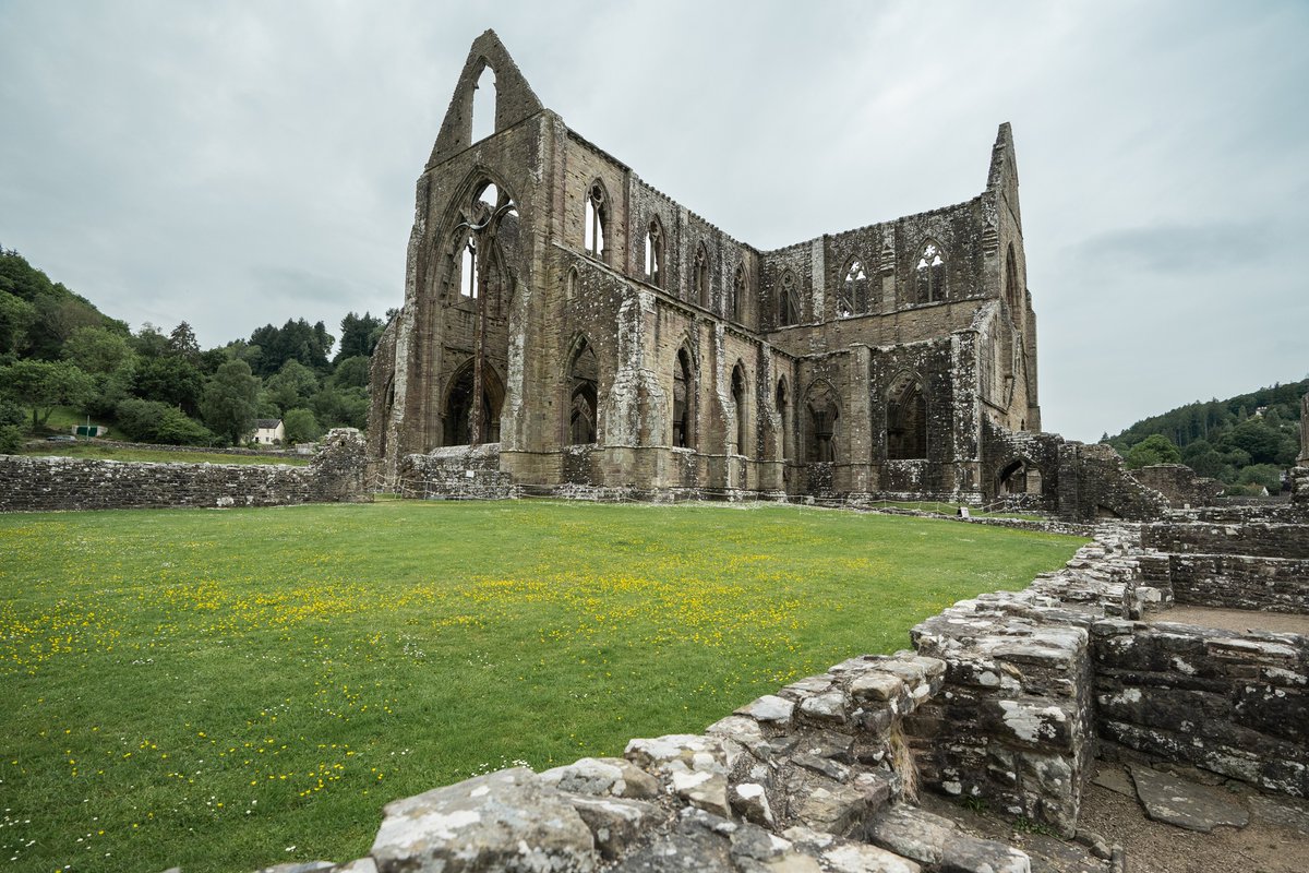 On this day in Welsh history Tintern Abbey was founded in 1131 making the site 893 years old!

Cistercian monks were happy to make do with timber buildings at first, in 1269 they began to build one of the masterpieces of British Gothic architecture.

ow.ly/5vi250RzqeV