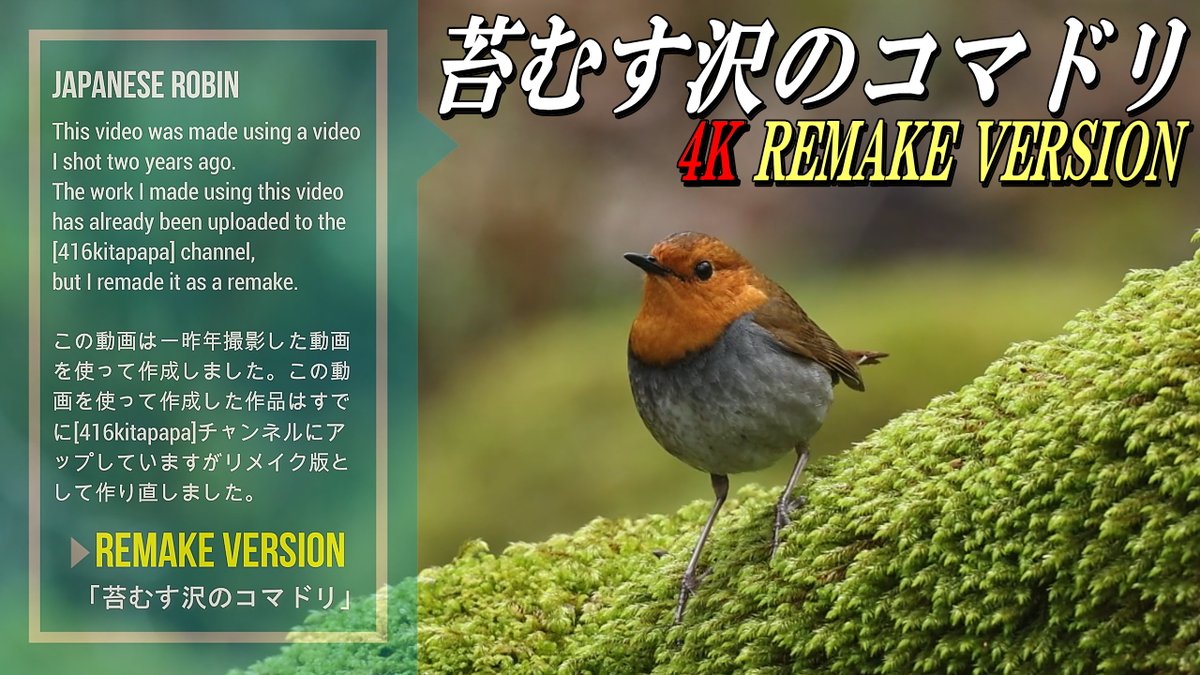 過去動画のリメイクですけど・・・
去年も今年もこの沢には行けてないな～～～
youtu.be/qKx5ugRLT7U
#コマドリ #野鳥撮影 #夏鳥