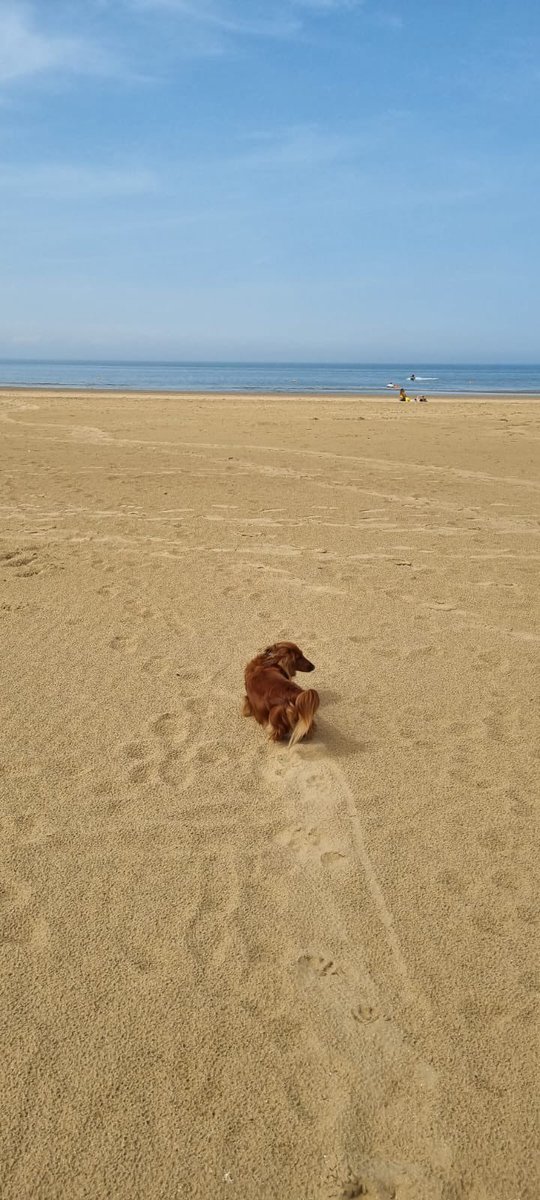 Melayna Lamb 🇵🇸 tweet media