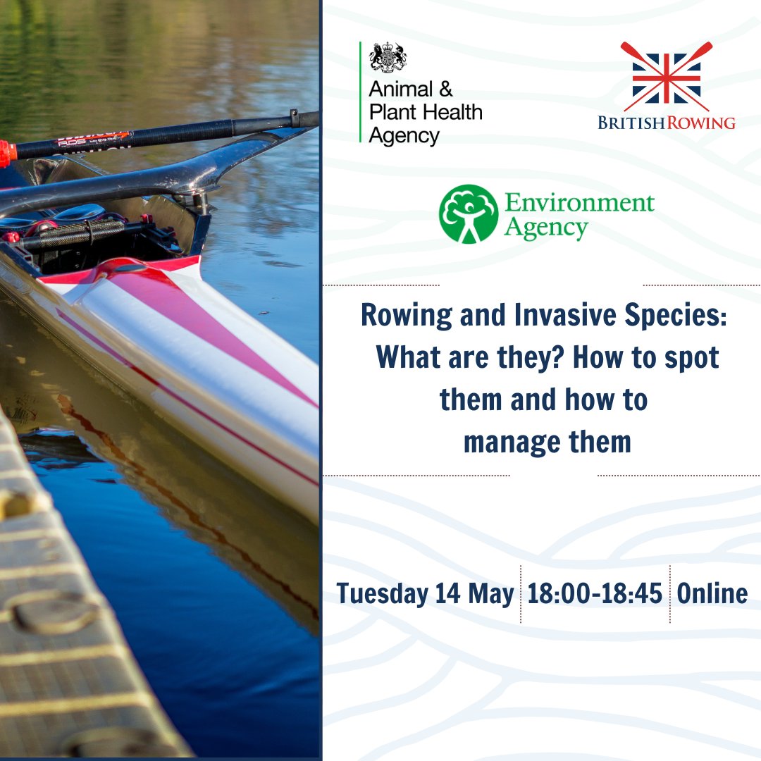 Do you know how to look out for invasive species? 🚣 💧 Join our webinar 'Rowing and Invasive Species: What are they? How to spot them and how to manage them' 💻 📆 14 May 2024 ⏰ 18:00-18:45 📍 Online Register here👇 register.gotowebinar.com/register/31707…