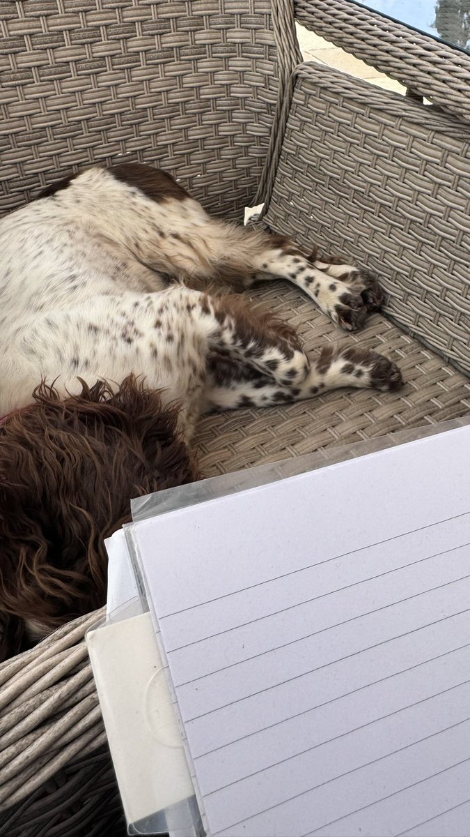 My writing buddy has given up the support - decided it’s too warm and has gone to sleep! :)