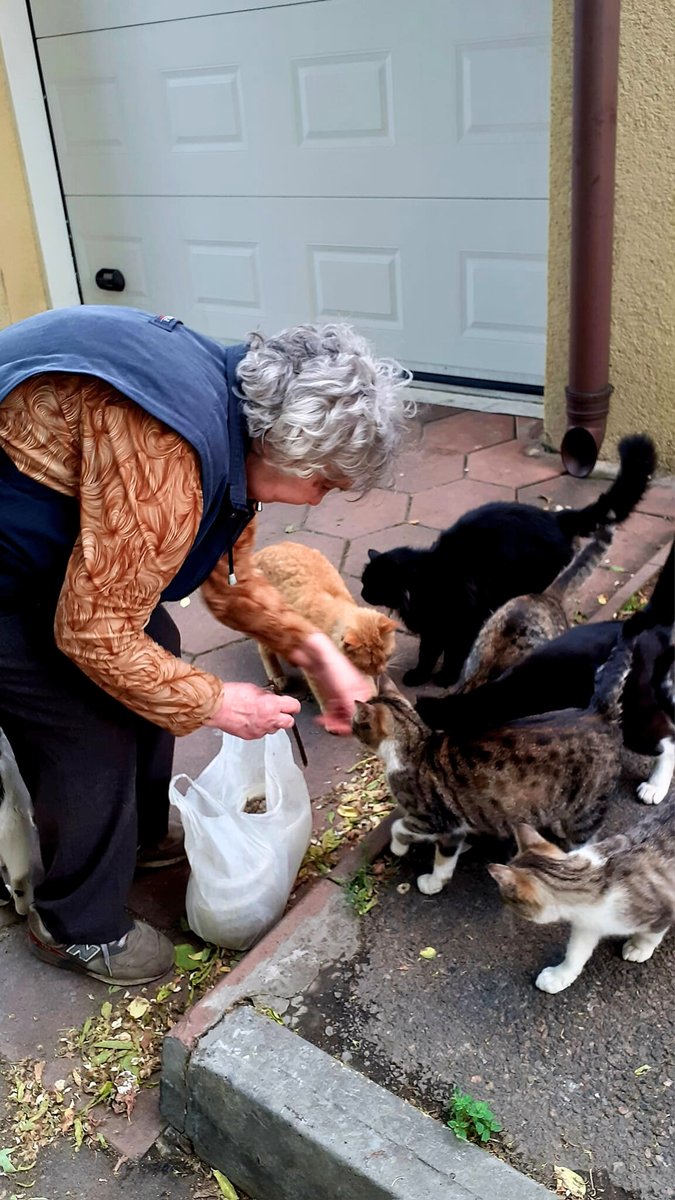 Every day Grandma Maria goes out into the yard to feed the street cats of Odesa 😻 Some of them were abandoned by their owners, some were lost, and some were just born on the street. She gives each of them not only food, but also care, affection and warmth of her heart 💖 #Odesa