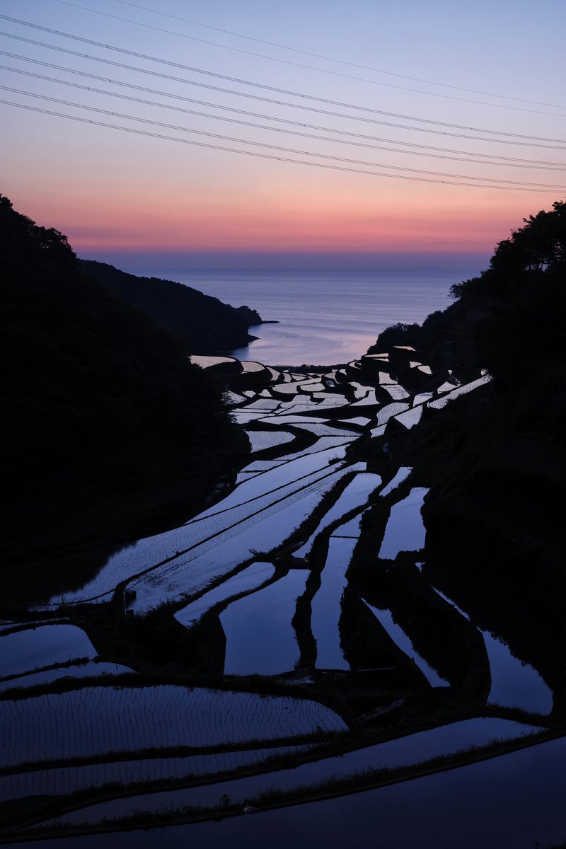 keizphoto's tweet image. 空から棚田まで続く美しいグラデーション
日没後が浜ノ浦棚田の魅力のひとつ

#tokyocameraclub 
#gradation 
#eosr5 
#キヤノン党でほめあいたい