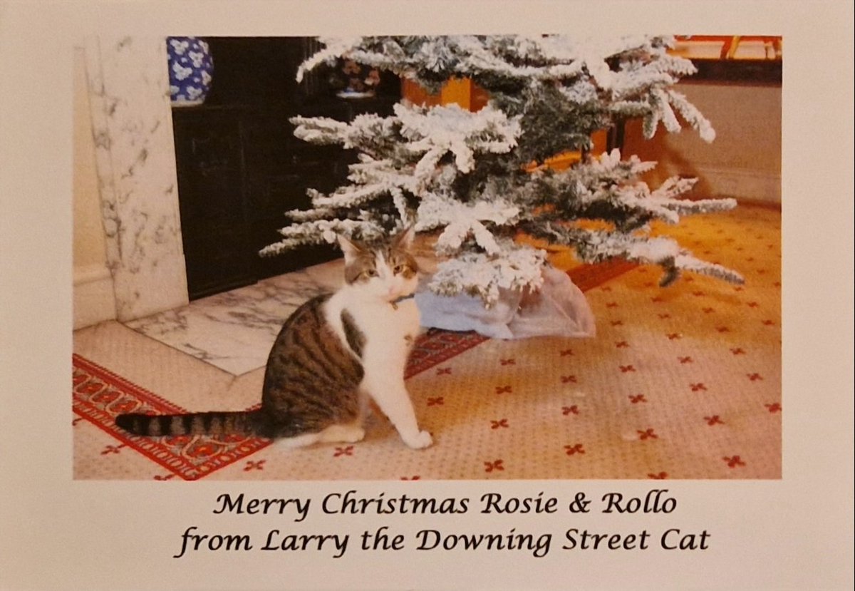 #ThrowbackThursday Our Christmas card from @Number10cat in 2016.