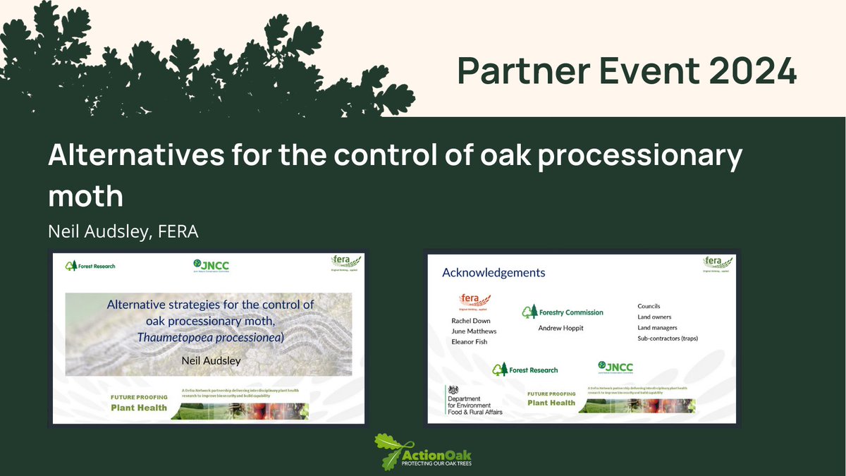 Neil Audsley from @FeraScience presents 'Alternatives for the control of oak processionary moth'. 🌳🌳🌳 #PlantHealthScience #ActionOakPartnerEvent2024 #PlantHealthWeek