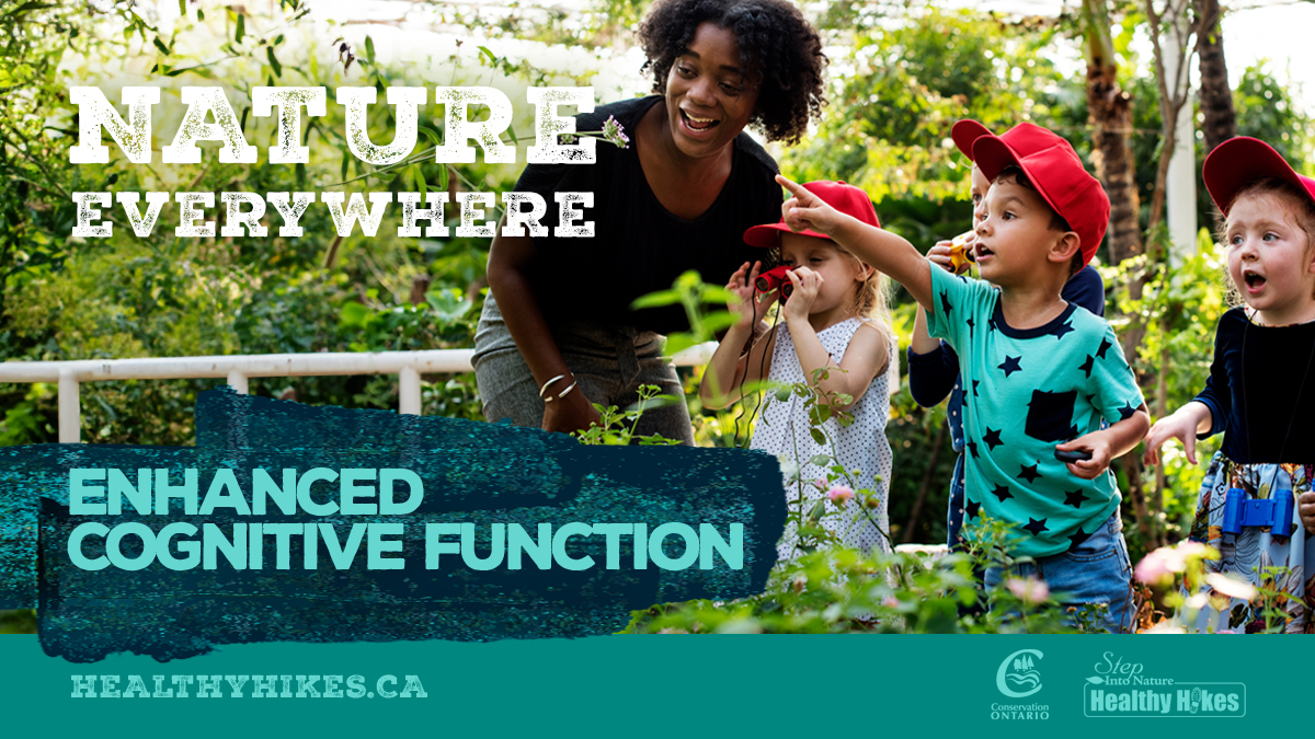 Studies have found that exposure to nature can improve cognitive function, including attention, memory, and creativity, leading to better mental clarity and focus.