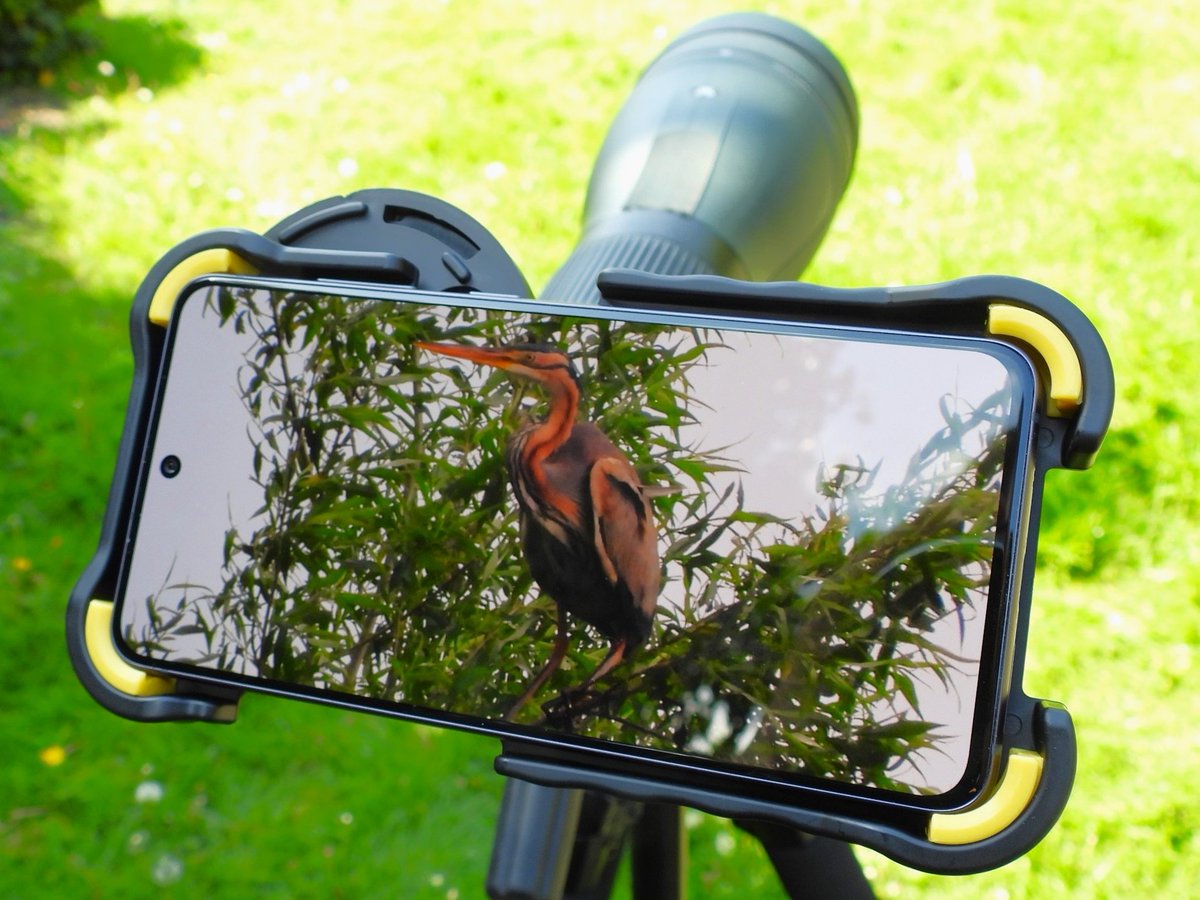 The NEW @PhoneSkopeUK #iPhone15Pro and #iPhone15ProMax #smartphones cases are now in stock. The neat solution for attaching the latest generation of #Apple #iPhones to your spotting scope for the ultimate in #iPhonePhotography. 🔽 birders-store.co.uk/phoneskope-cas…