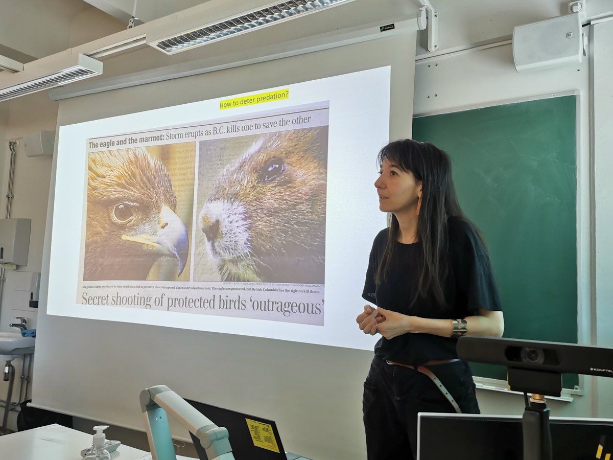 Monica gave a talk on the history of Vancouver Island marmots conservation&science to an interdisciplinary audience in the Biology Seminar at @UniOulu Atm @monica_vasile is a VisitAnts fellow in the Biodiverse Anthropocenes programme @arcticants #envhist #animalhistory