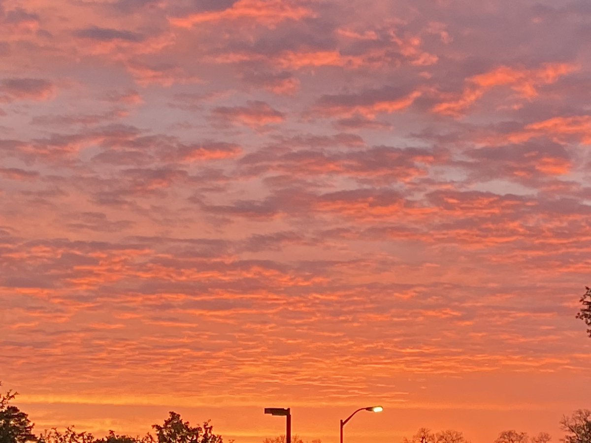 TonyMel13027869's tweet photo. Beautiful sunrise over campus this morning. #psubehrend @PSBehrend #sunrise https://t.co/dSeT2ZMuTn